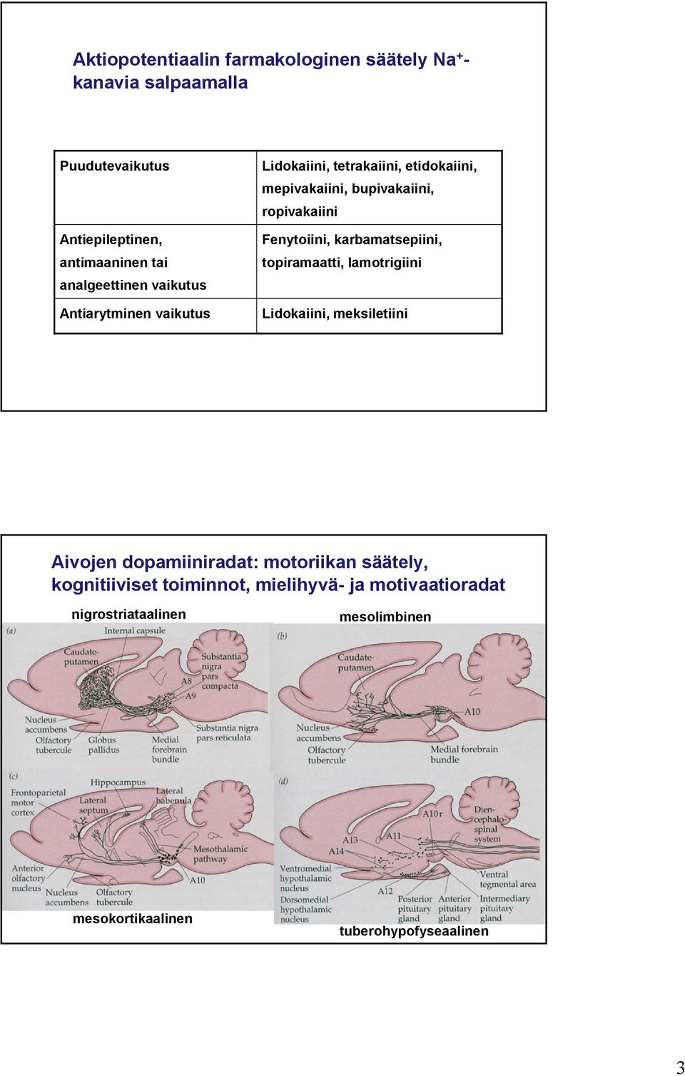 ropivakaiini Fenytoiini, karbamatsepiini, topiramaatti, lamotrigiini Lidokaiini, meksiletiini Aivojen dopamiiniradat: