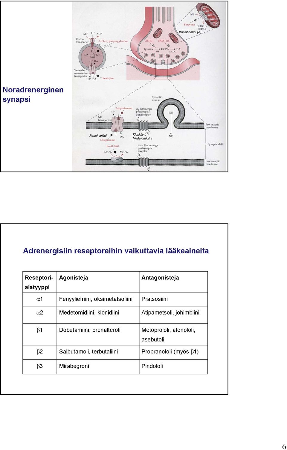 oksimetatsoliini Pratsosiini 2 Medetomidiini, klonidiini Atipametsoli, johimbiini 1 Dobutamiini,