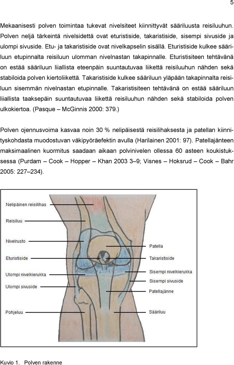 Eturistisiteen tehtävänä on estää sääriluun liiallista eteenpäin suuntautuvaa liikettä reisiluuhun nähden sekä stabiloida polven kiertoliikettä.