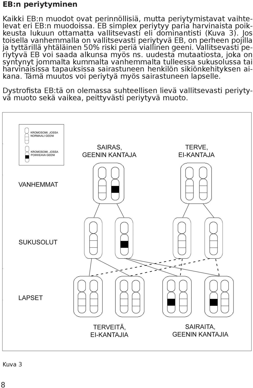 Jos toisella vanhemmalla on vallitsevasti periytyvä EB, on perheen pojilla ja tyttärillä yhtäläinen 50% riski periä viallinen geeni. Vallitsevasti periytyvä EB voi saada alkunsa myös ns.