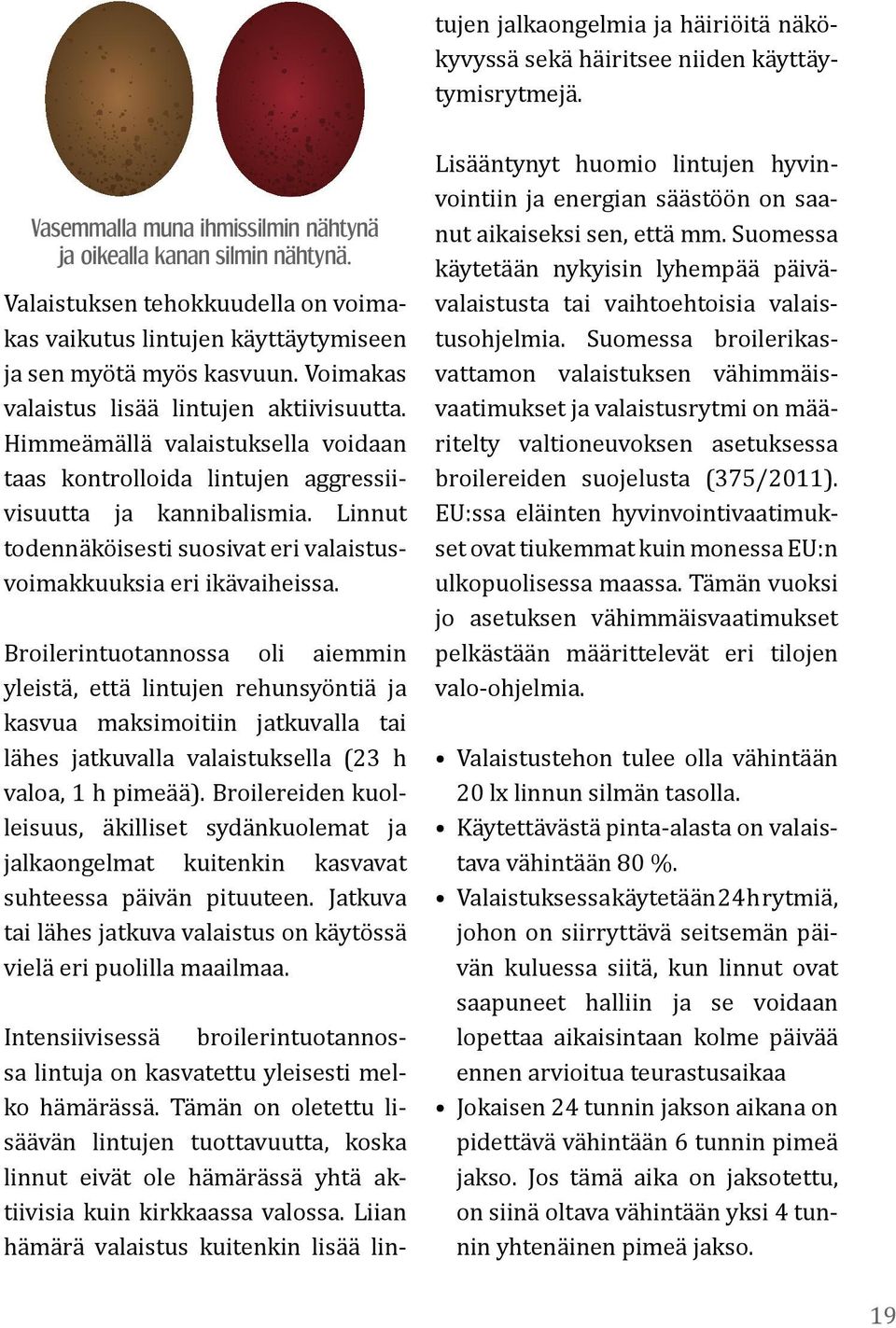 Liian hämärä valaistus kuitenkin lisää lintujen jalkaongelmia ja häiriöitä näkökyvyssä sekä häiritsee niiden käyttäytymisrytmejä. Vasemmalla muna ihmissilmin nähtynä ja oikealla kanan silmin nähtynä.