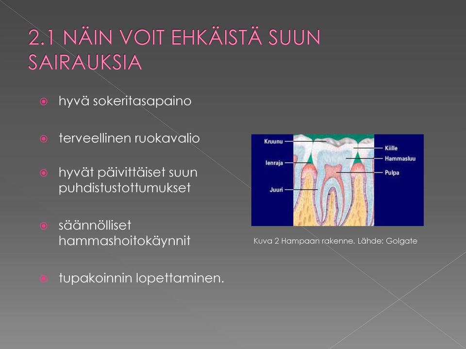 säännölliset hammashoitokäynnit Kuva 2 Hampaan