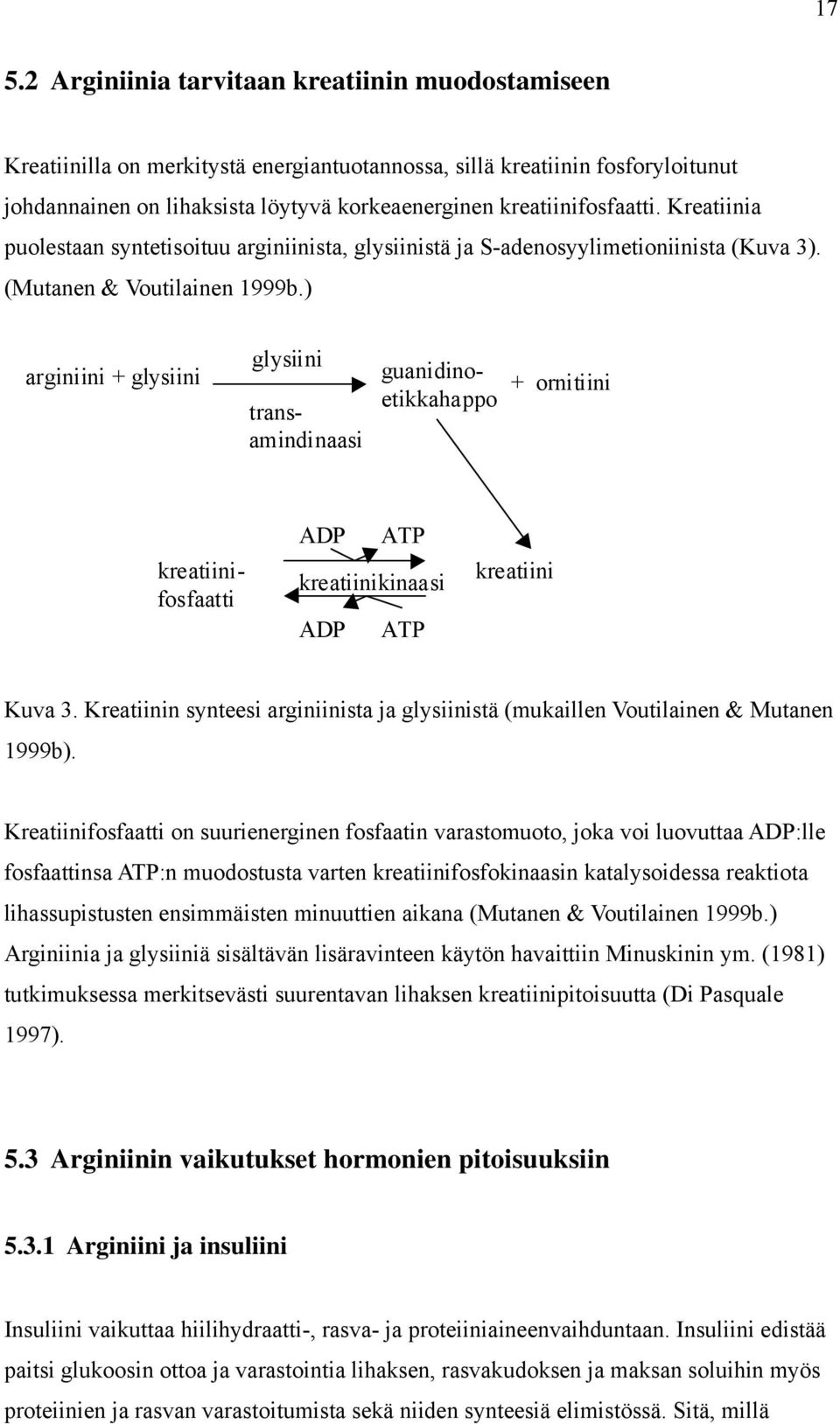 ) arginiini + glysiini glysiini transamindinaasi guanidinoetikkahappo + ornitiini kreatiinifosfaatti ADP ATP kreatiinikinaasi ADP ATP kreatiini Kuva 3.