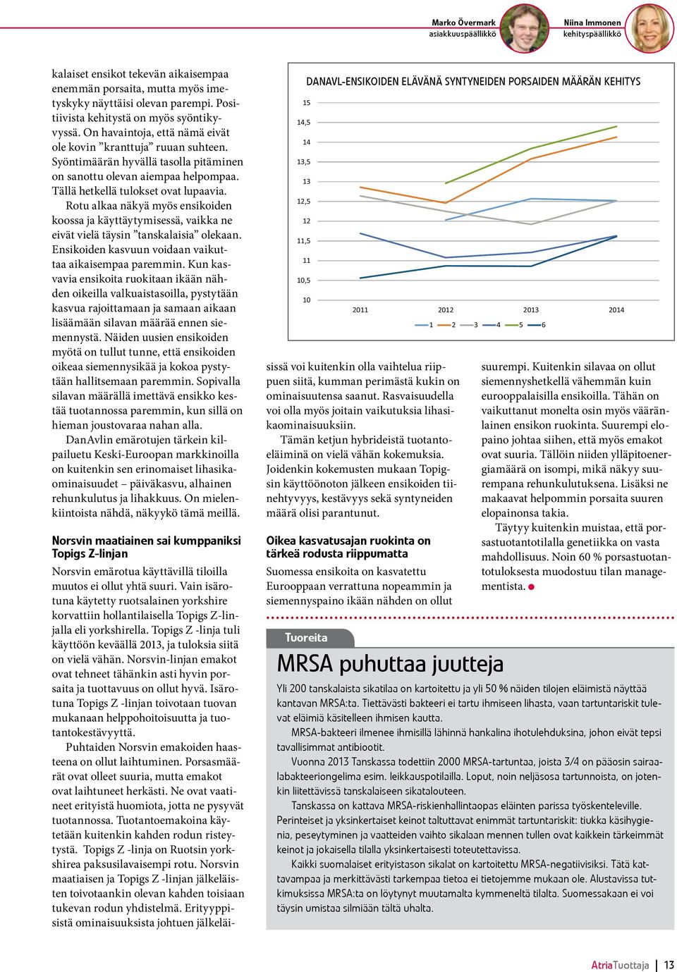 Tällä hetkellä tulokset ovat lupaavia. Rotu alkaa näkyä myös ensikoiden koossa ja käyttäytymisessä, vaikka ne eivät vielä täysin tanskalaisia olekaan.