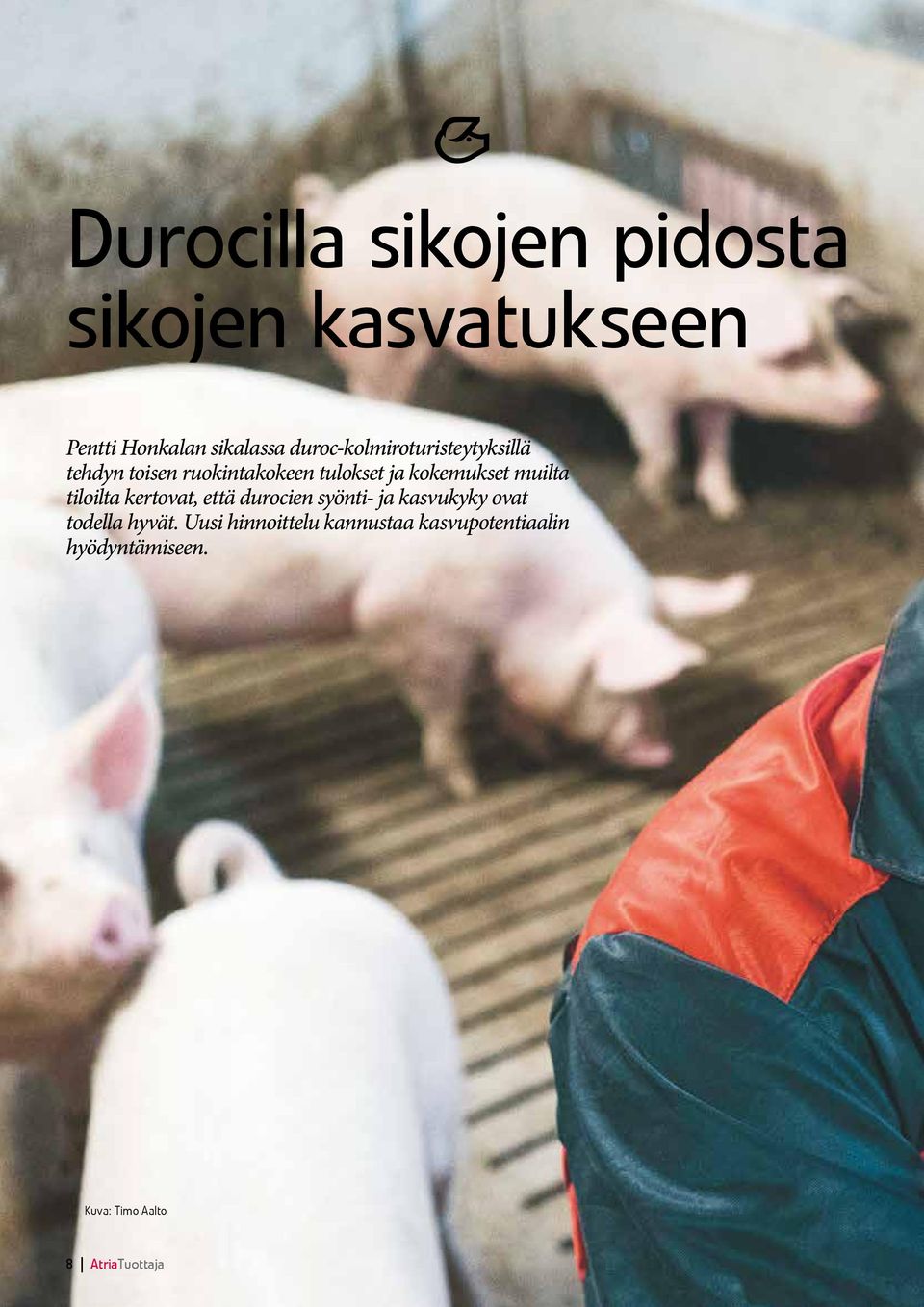 muilta tiloilta kertovat, että durocien syönti- ja kasvukyky ovat todella hyvät.