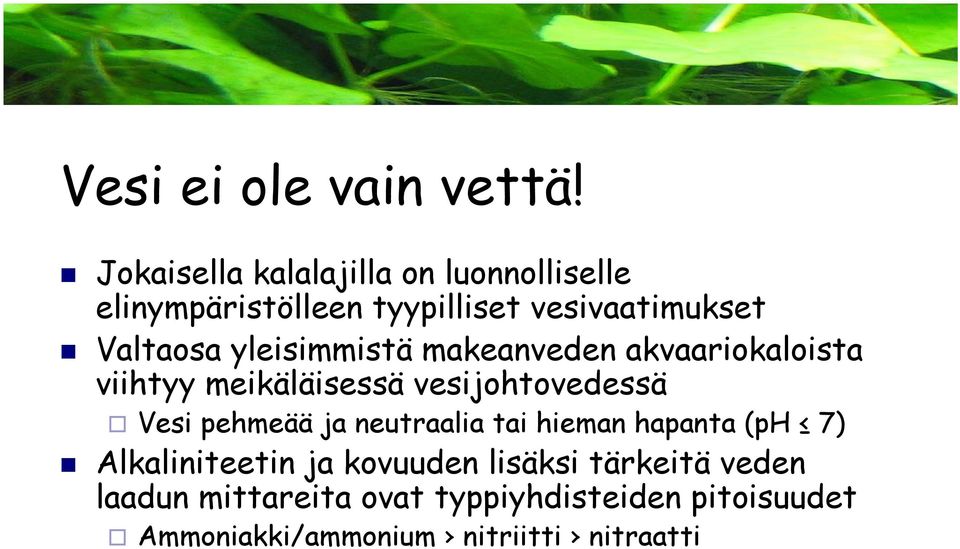 yleisimmistä makeanveden akvaariokaloista viihtyy meikäläisessä vesijohtovedessä Vesi pehmeää ja