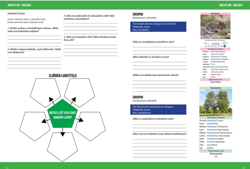 Sukupuu eläinkunnan ryhmittely Voit löytää eläimen sukupuun Internetistä: Wikipedia suomi Hae: metsäjänis Mikä on metsäjäniksen tieteellinen nimi? 2. Eliöitä voidaan luokitella myös eliökuntiin.