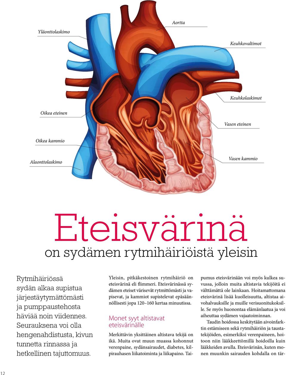 12 Yleisin, pitkäkestoinen rytmihäiriö on eteisvärinä eli flimmeri.