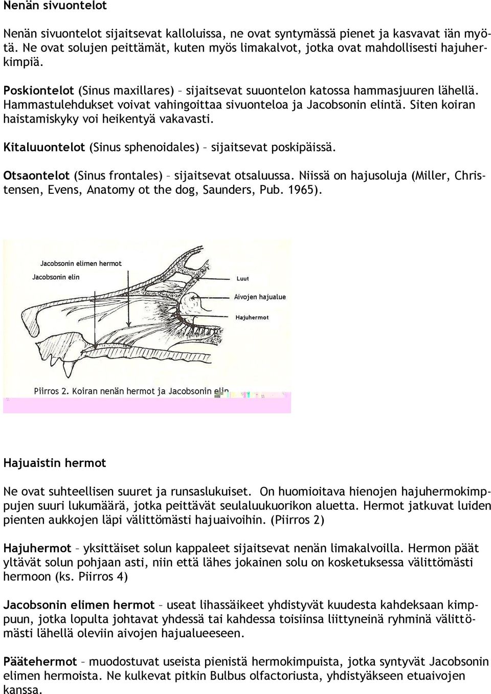 Siten koiran haistamiskyky voi heikentyä vakavasti. Kitaluuontelot (Sinus sphenoidales) sijaitsevat poskipäissä. Otsaontelot (Sinus frontales) sijaitsevat otsaluussa.