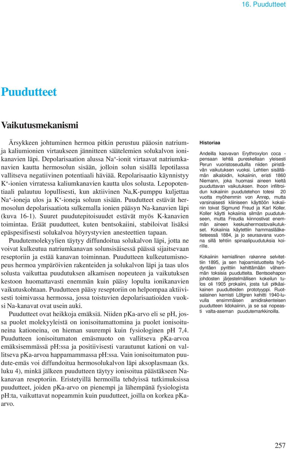 Repolarisaatio käynnistyy K + -ionien virratessa kaliumkanavien kautta ulos solusta.