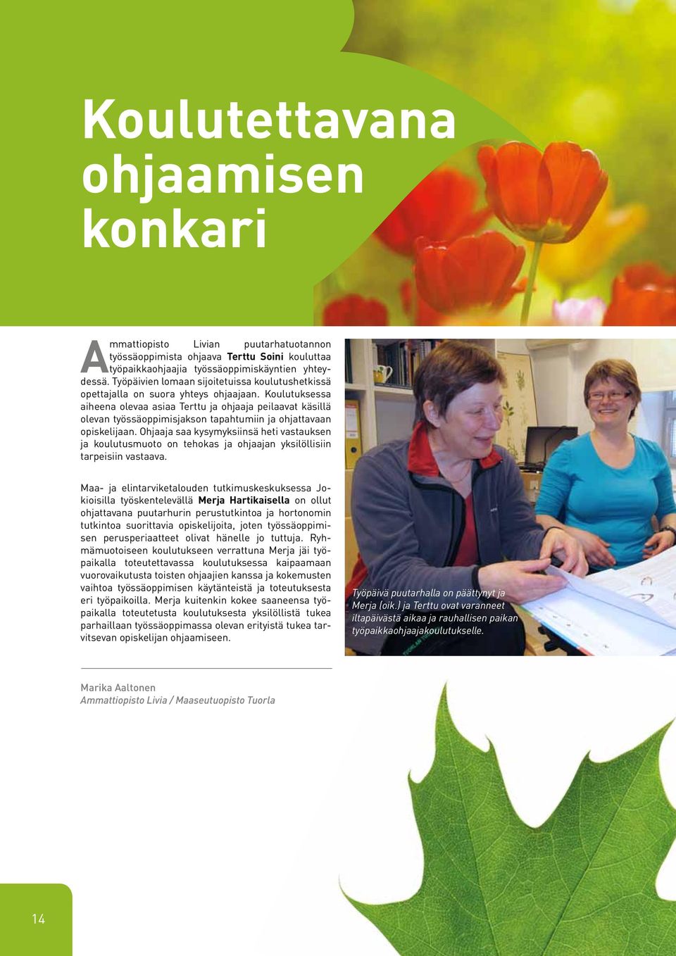 Koulutuksessa aiheena olevaa asiaa Terttu ja ohjaaja peilaavat käsillä olevan työssäoppimisjakson tapahtumiin ja ohjattavaan opiskelijaan.