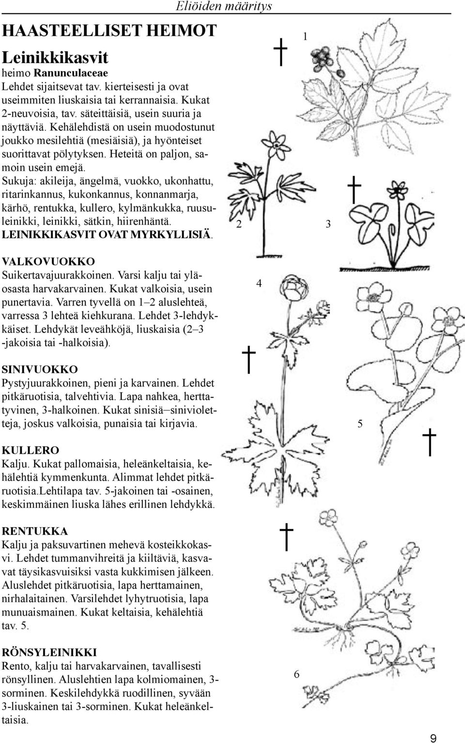 Sukuja: akileija, ängelmä, vuokko, ukonhattu, ritarinkannus, kukonkannus, konnanmarja, kärhö, rentukka, kullero, kylmänkukka, ruusuleinikki, leinikki, sätkin, hiirenhäntä.