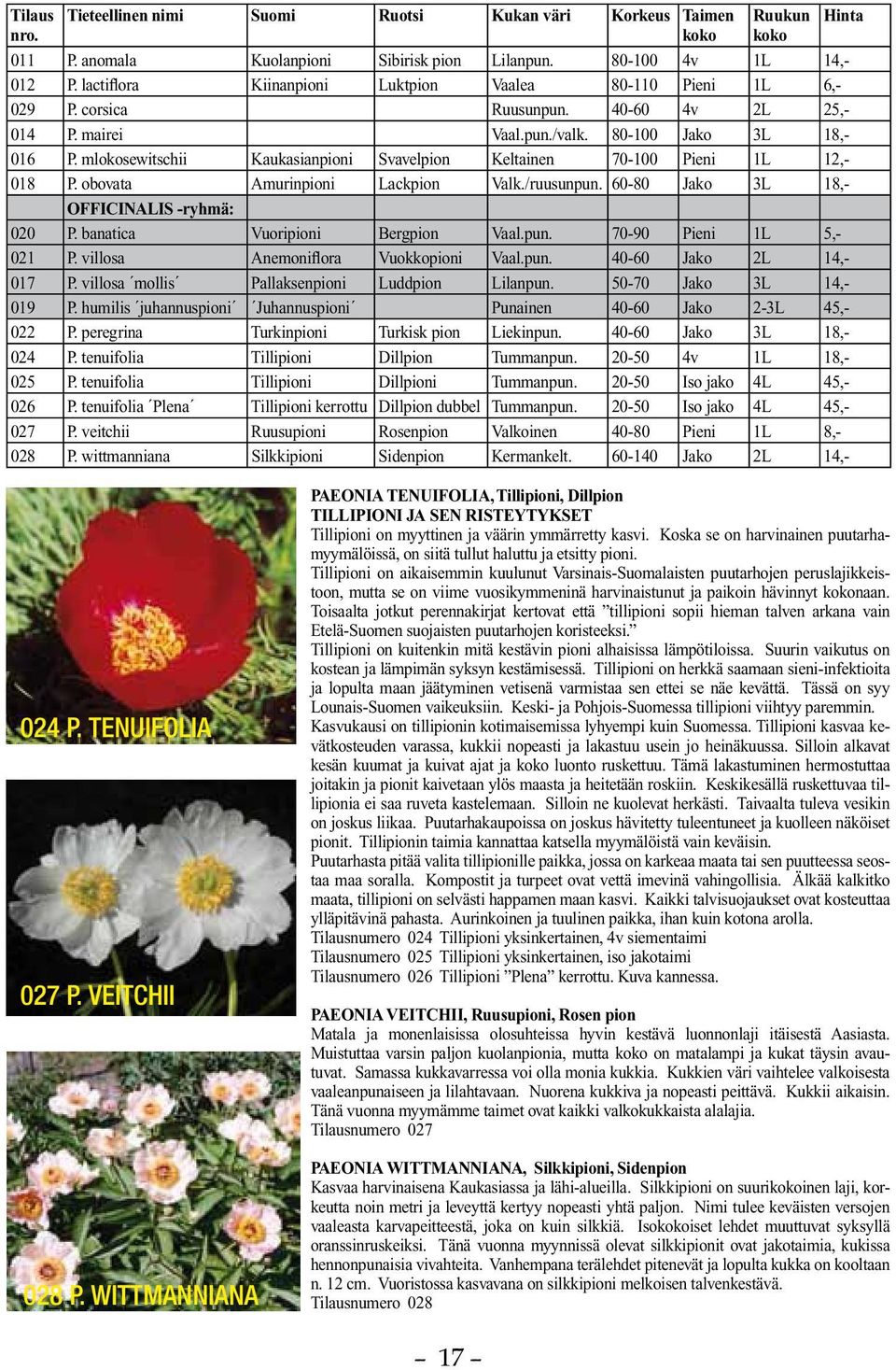 mlokosewitschii Kaukasianpioni Svavelpion Keltainen 70-100 Pieni 1L 12,- 018 P. obovata Amurinpioni Lackpion Valk./ruusunpun. 60-80 Jako 3L 18,- OFFICINALIS -ryhmä: 020 P.