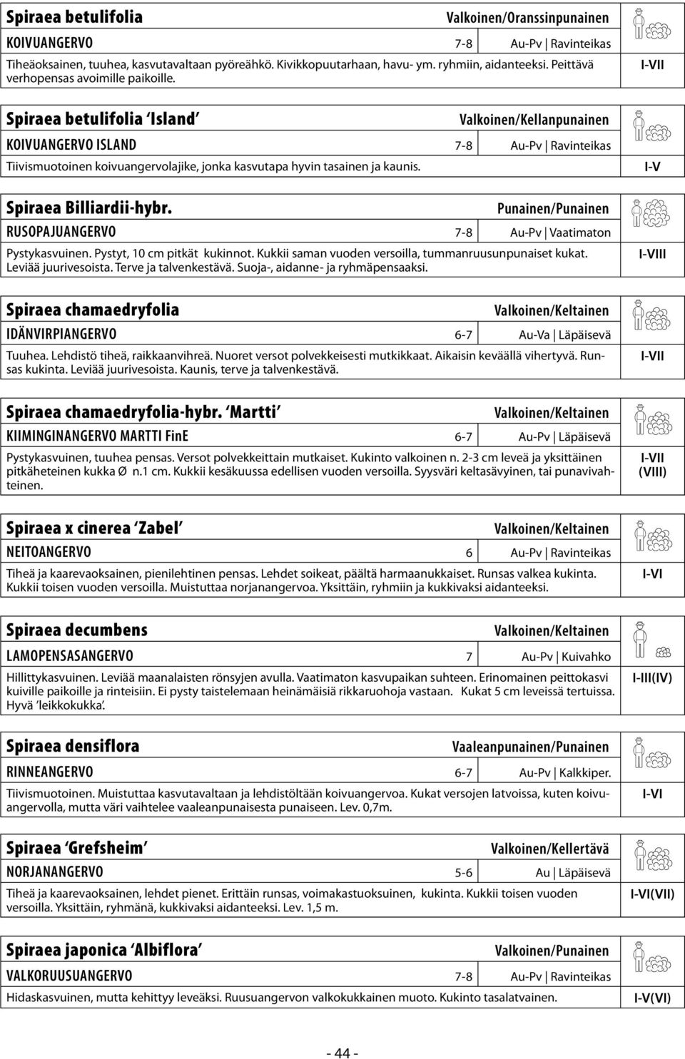 I Spiraea betulifolia Island Valkoinen/Kellanpunainen KOIVUANGERVO ISLAND 7-8 Au-Pv Ravinteikas Tiivismuotoinen koivuangervolajike, jonka kasvutapa hyvin tasainen ja kaunis.