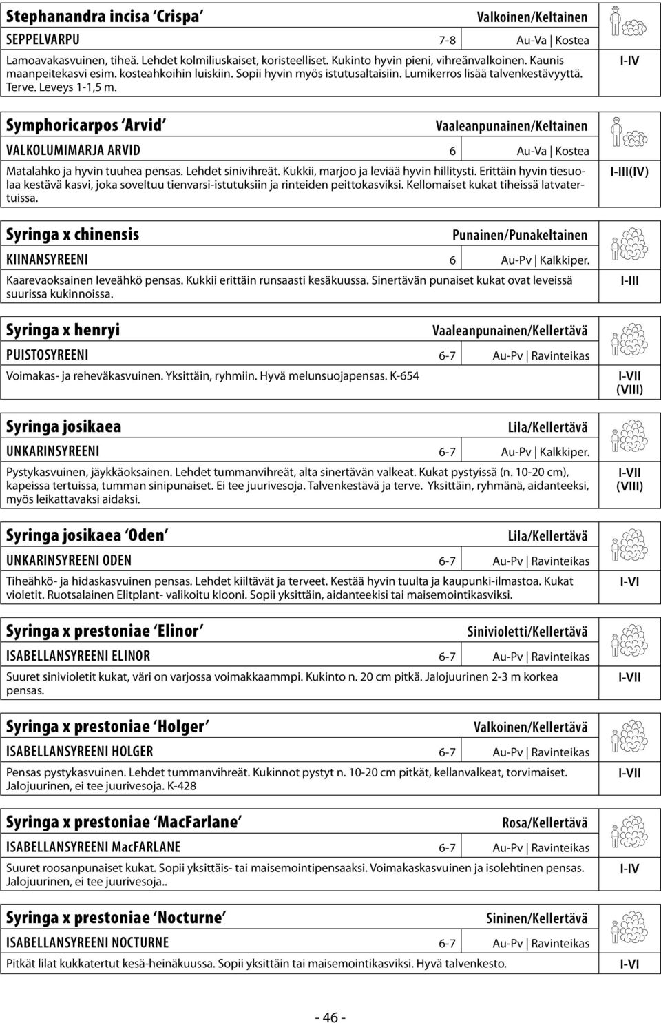 Symphoricarpos Arvid Vaaleanpunainen/Keltainen VALKOLUMIMARJA ARVID 6 Au-Va Kostea Matalahko ja hyvin tuuhea pensas. Lehdet sinivihreät. Kukkii, marjoo ja leviää hyvin hillitysti.