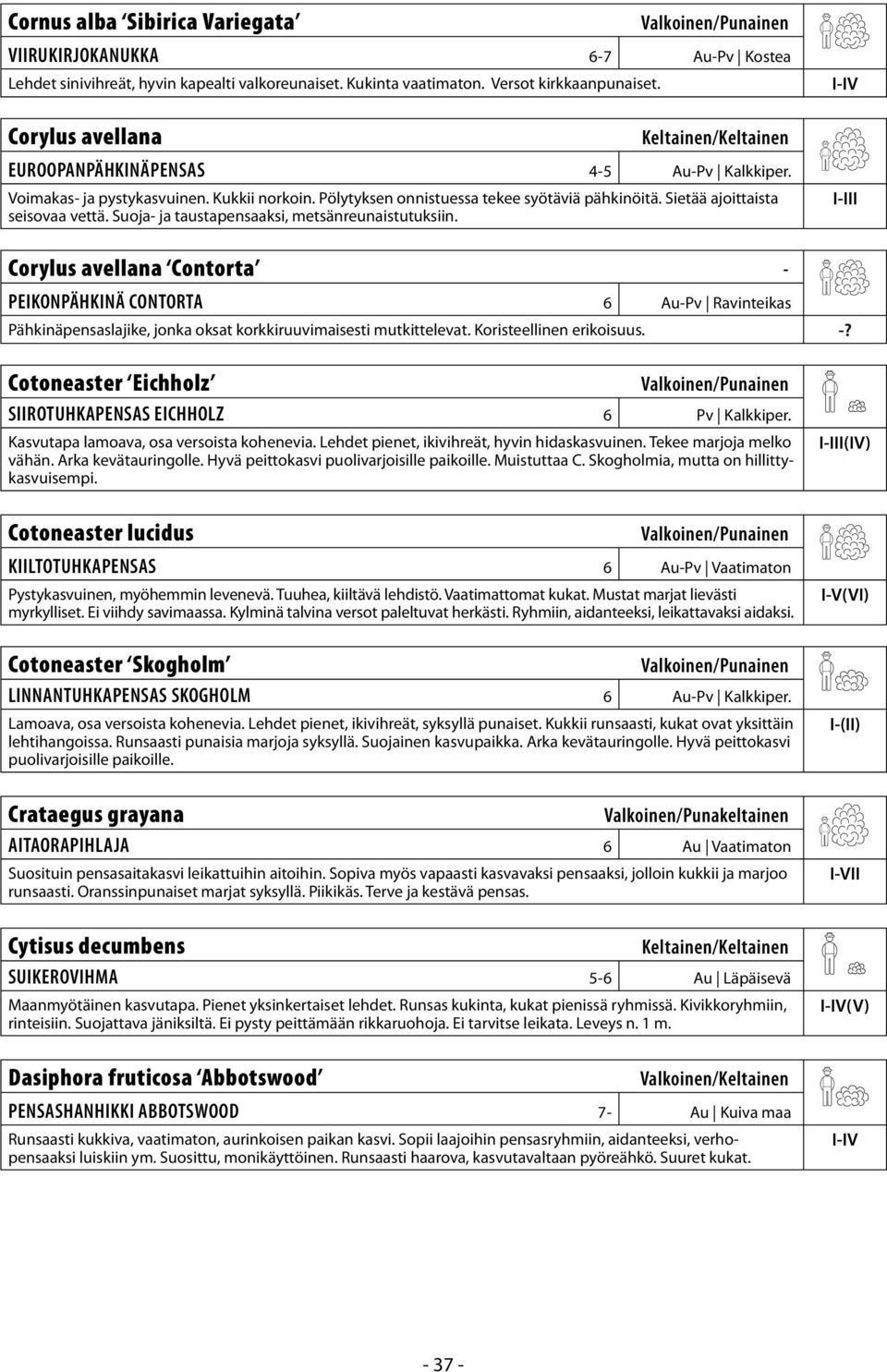 Suoja- ja taustapensaaksi, metsänreunaistutuksiin. Corylus avellana Contorta - PEIKONPÄHKINÄ CONTORTA 6 Au-Pv Ravinteikas Pähkinäpensaslajike, jonka oksat korkkiruuvimaisesti mutkittelevat.
