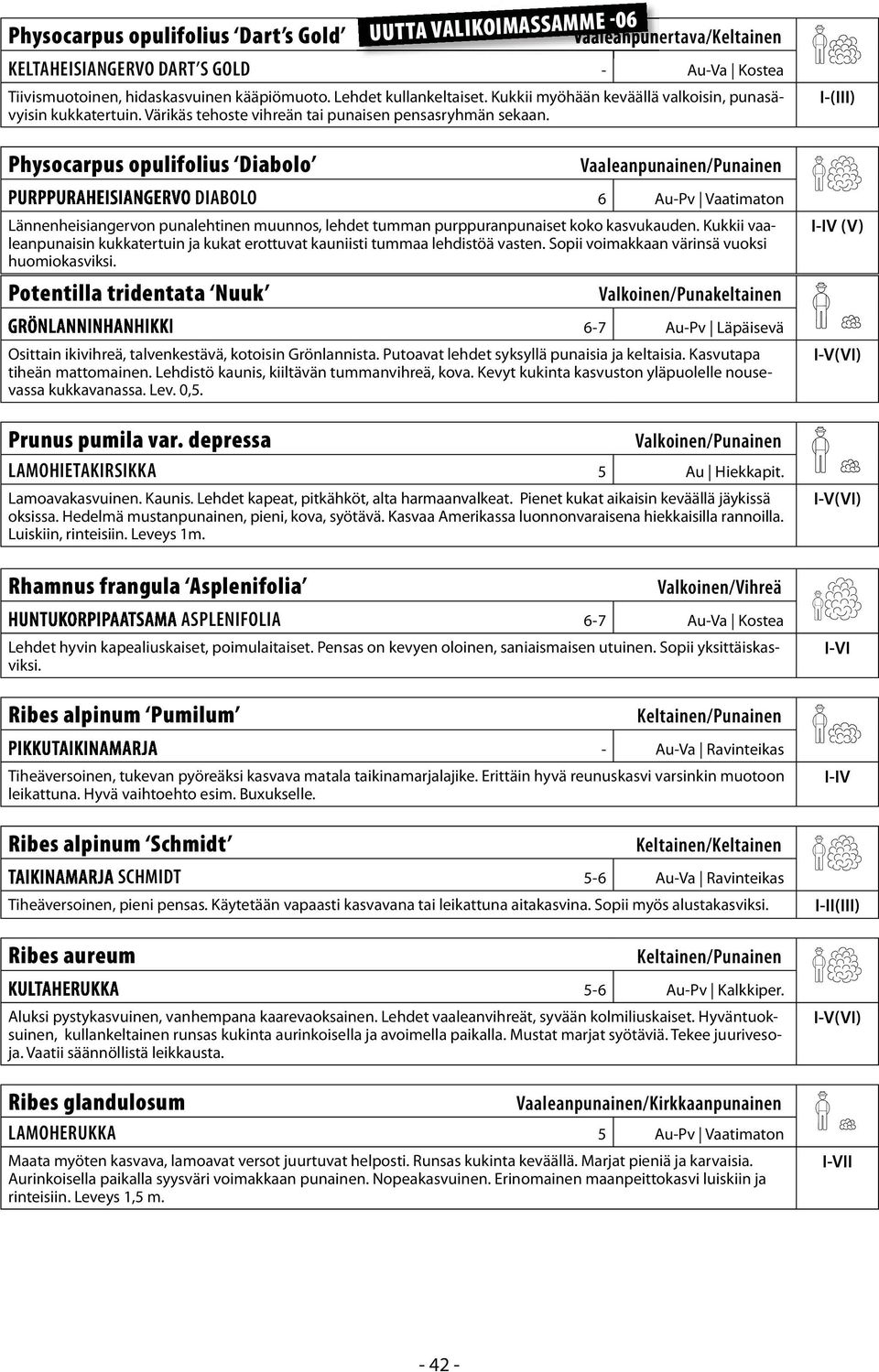 I-(III) Physocarpus opulifolius Diabolo Vaaleanpunainen/Punainen DIABOLO 6 Au-Pv Vaatimaton Lännenheisiangervon punalehtinen muunnos, lehdet tumman purppuranpunaiset koko kasvukauden.