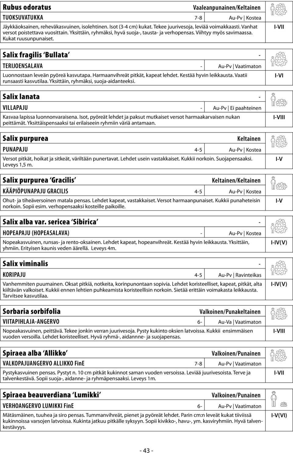 I Salix fragilis Bullata - TERIJOENSALAVA - Au-Pv Vaatimaton Luonnostaan leveän pyöreä kasvutapa. Harmaanvihreät pitkät, kapeat lehdet. Kestää hyvin leikkausta. Vaatii runsaasti kasvutilaa.
