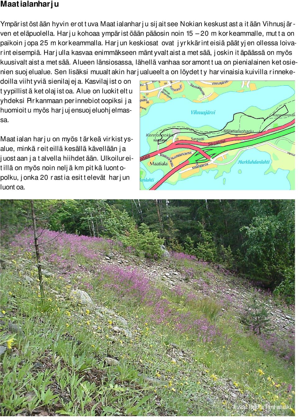 Harjulla kasvaa enimmäkseen mäntyvaltaista metsää, joskin itäpäässä on myös kuusivaltaista metsää. Alueen länsiosassa, lähellä vanhaa soramonttua on pienialainen ketosienien suojelualue.