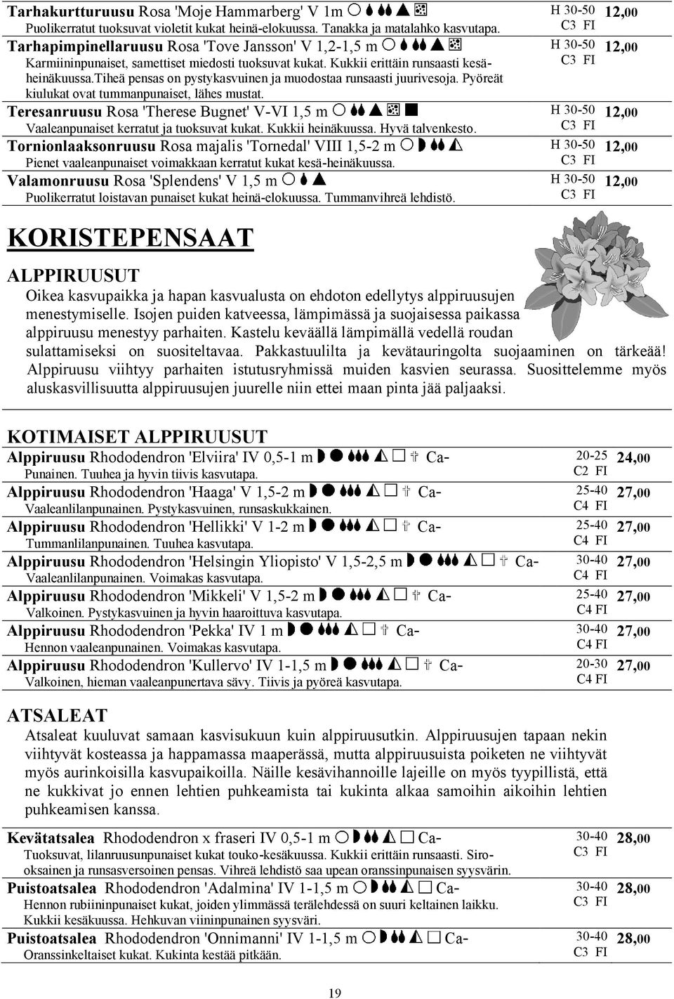tiheä pensas on pystykasvuinen ja muodostaa runsaasti juurivesoja. Pyöreät kiulukat ovat tummanpunaiset, lähes mustat.