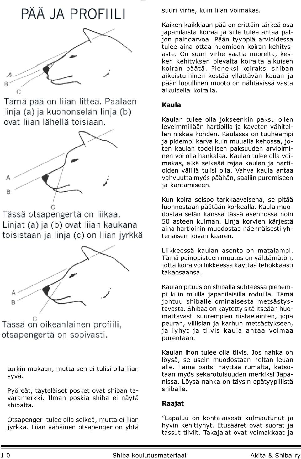 Pieneksi koiraksi shiban aikuistuminen kestää yllättävän kauan ja pään lopullinen muoto on nähtävissä vasta aikuisella koiralla.