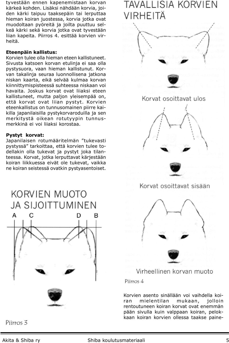 liian kapeita. Piirros 4. esittää korvien virheitä. Eteenpäin kallistus: Korvien tulee olla hieman eteen kallistuneet. Sivusta katsoen korvan etulinja ei saa olla pystysuora, vaan hieman kallistunut.