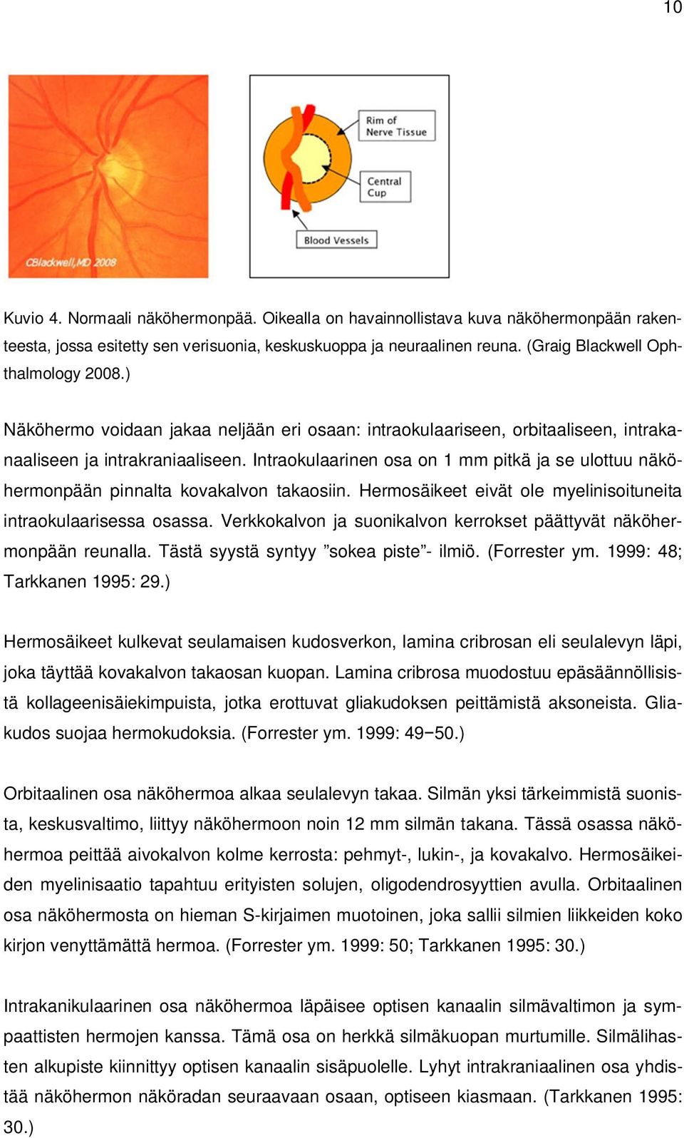 Intraokulaarinen osa on 1 mm pitkä ja se ulottuu näköhermonpään pinnalta kovakalvon takaosiin. Hermosäikeet eivät ole myelinisoituneita intraokulaarisessa osassa.