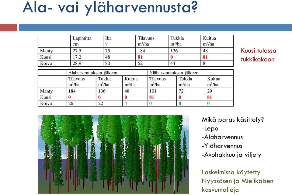 9 80 52 44 8 Kuusi tulossa tukkikokoon Alaharvennuksen jälkeen Yläharvennuksen jälkeen Tilavuus m 3 /ha Tukkia m 3 /ha Kuitua m 3