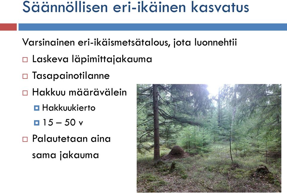 läpimittajakauma Tasapainotilanne Hakkuu