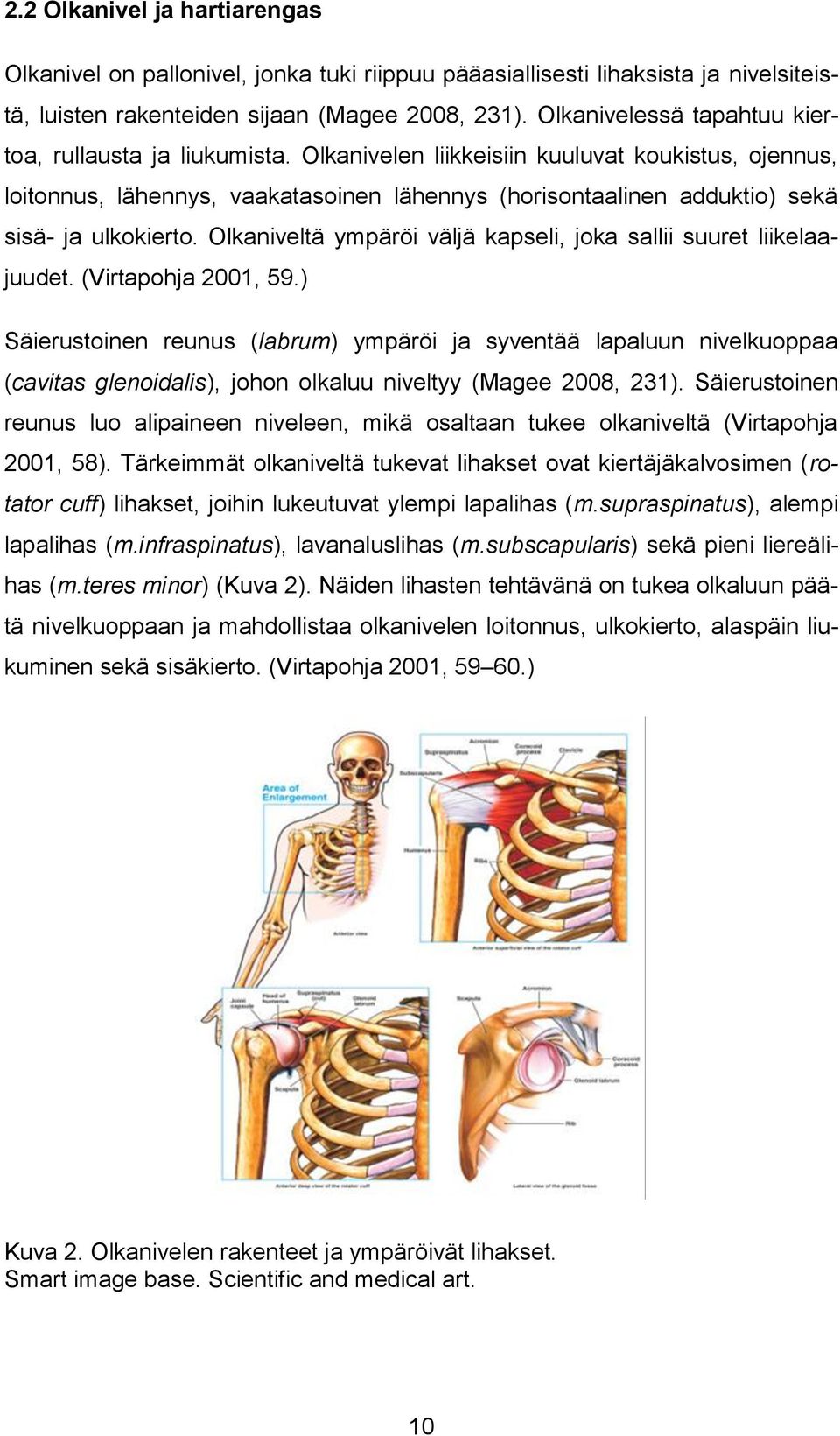 Olkanivelen liikkeisiin kuuluvat koukistus, ojennus, loitonnus, lähennys, vaakatasoinen lähennys (horisontaalinen adduktio) sekä sisä- ja ulkokierto.