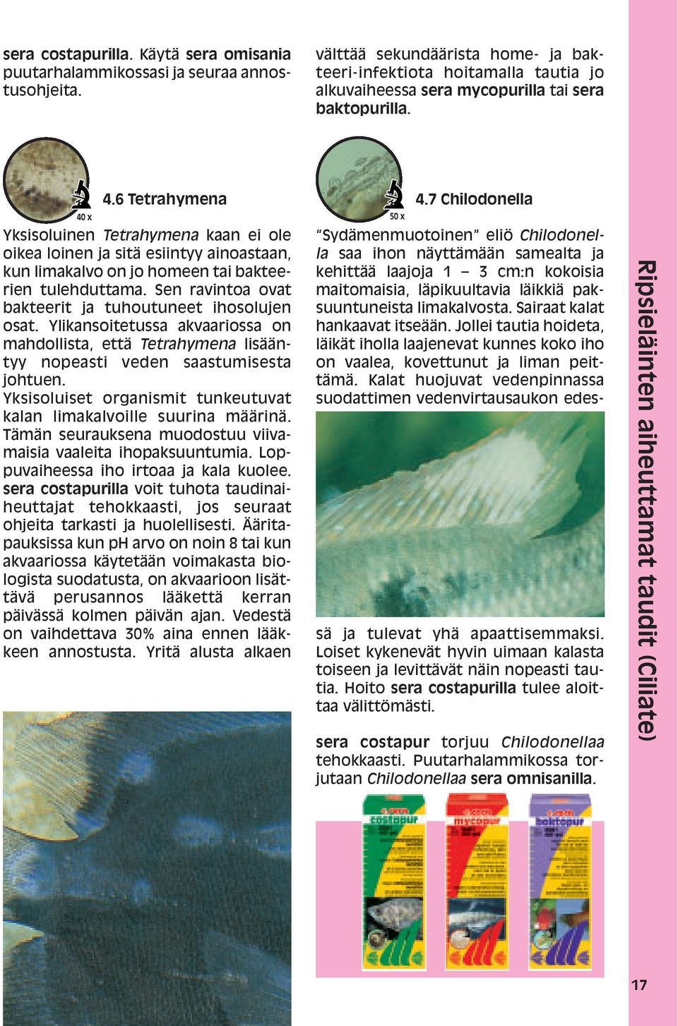 6 Tetrahymena 40 x 50 x Yksisoluinen Tetrahymena kaan ei ole oikea loinen ja sitä esiintyy ainoastaan, kun limakalvo on jo homeen tai bakteerien tulehduttama.