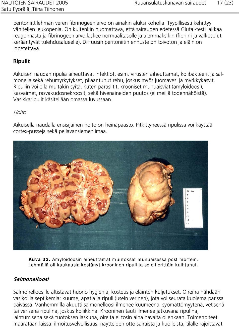 Diffuusin peritoniitin ennuste on toivoton ja eläin on lopetettava. Ripulit Aikuisen naudan ripulia aiheuttavat infektiot, esim.