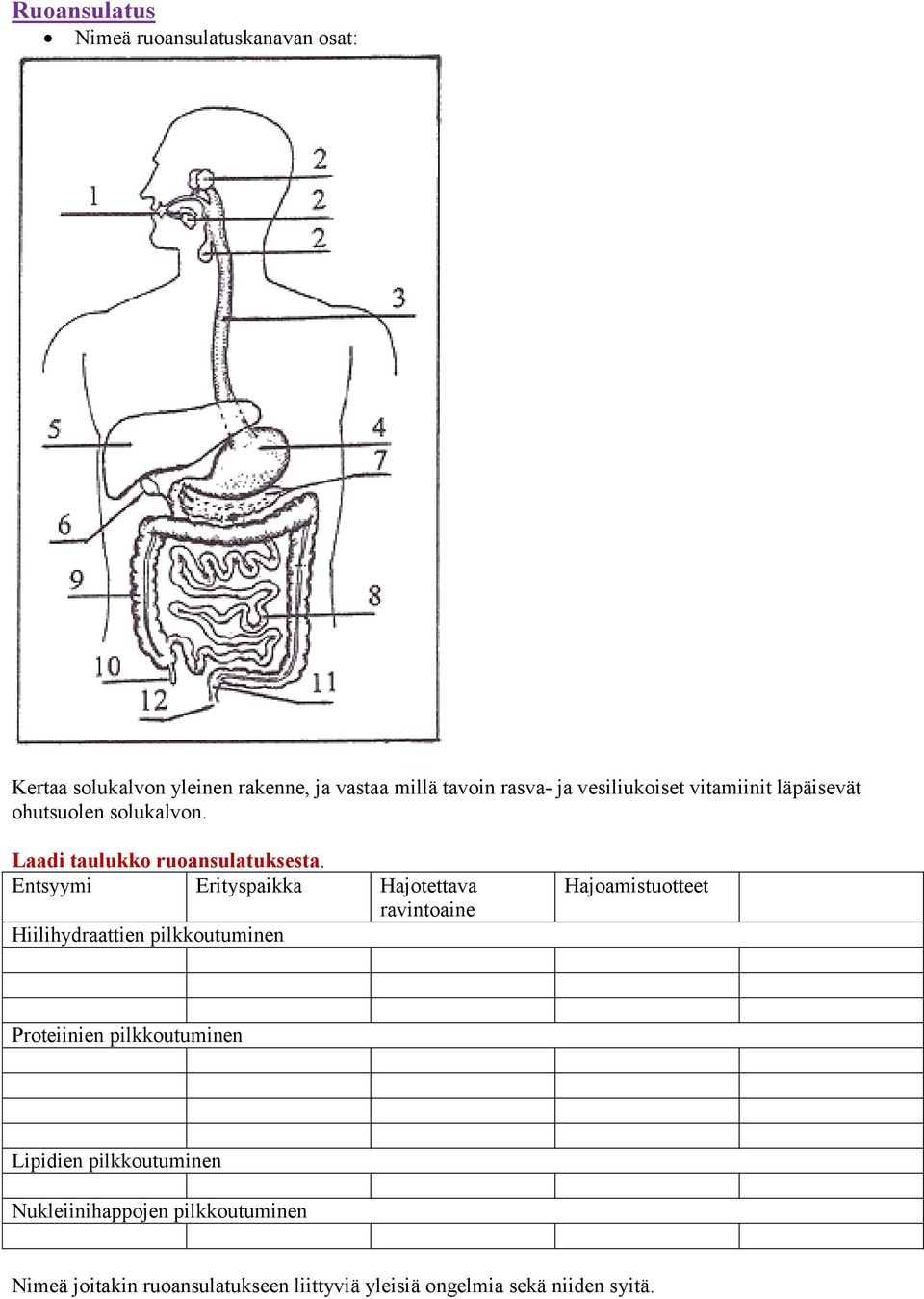 Entsyymi Erityspaikka Hajotettava ravintoaine Hiilihydraattien pilkkoutuminen Hajoamistuotteet Proteiinien