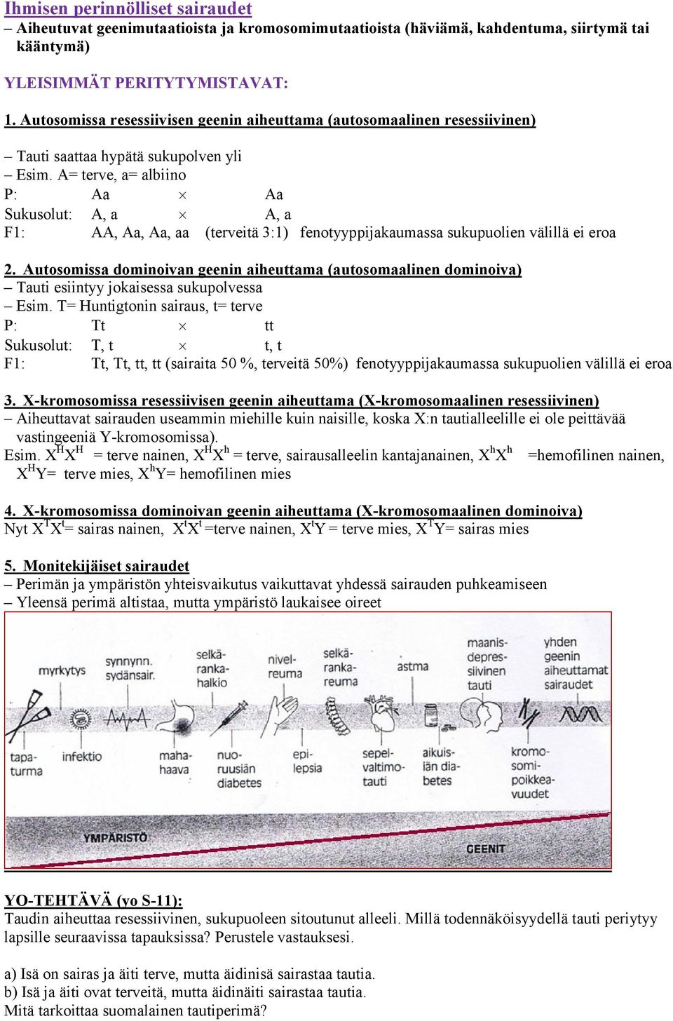 A= terve, a= albiino P: Aa Aa Sukusolut: A, a A, a F1: AA, Aa, Aa, aa (terveitä 3:1) fenotyyppijakaumassa sukupuolien välillä ei eroa 2.