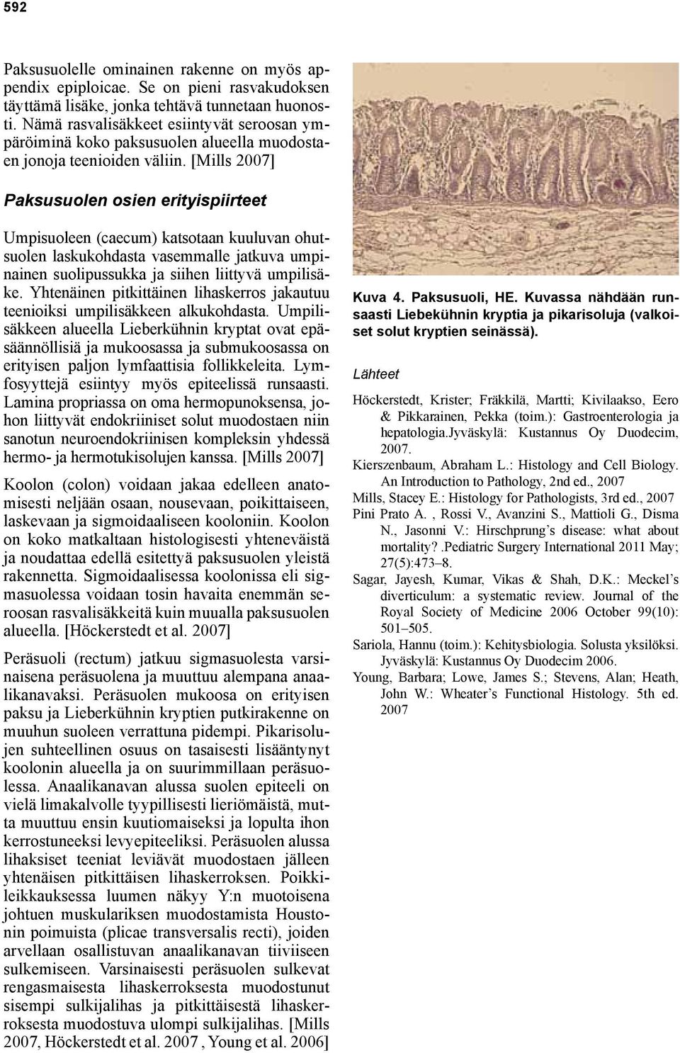 [Mills 2007] Paksusuolen osien erityispiirteet Umpisuoleen (caecum) katsotaan kuuluvan ohutsuolen laskukohdasta vasemmalle jatkuva umpinainen suolipussukka ja siihen liittyvä umpilisäke.