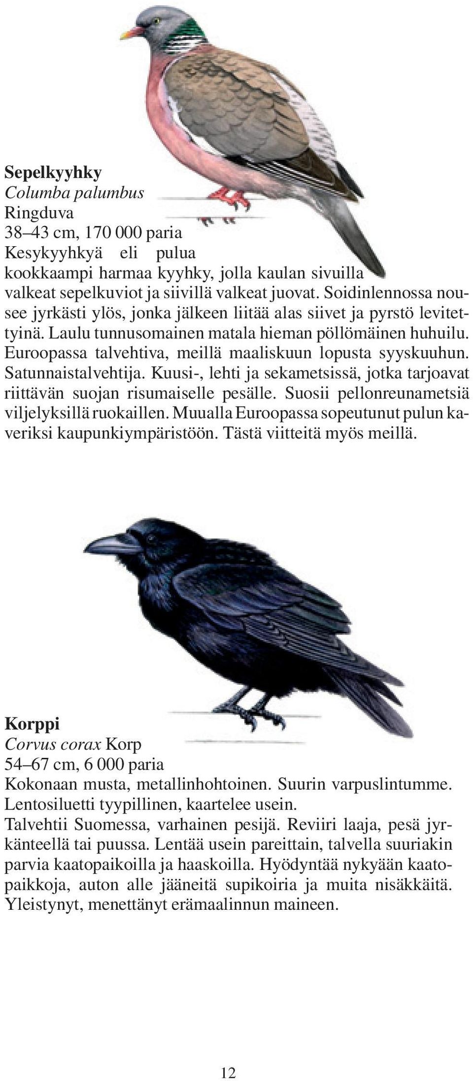 Euroopassa talvehtiva, meillä maaliskuun lopusta syyskuuhun. Satunnaistalvehtija. Kuusi-, lehti ja sekametsissä, jotka tarjoavat riittävän suojan risumaiselle pesälle.