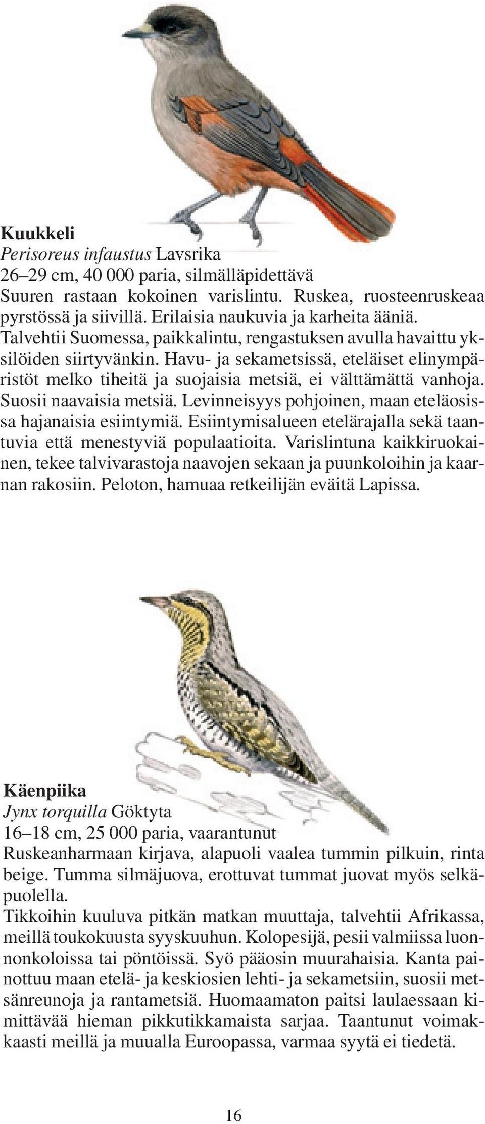 Havu- ja sekametsissä, eteläiset elinympäristöt melko tiheitä ja suojaisia metsiä, ei välttämättä vanhoja. Suosii naavaisia metsiä. Levinneisyys pohjoinen, maan eteläosissa hajanaisia esiintymiä.