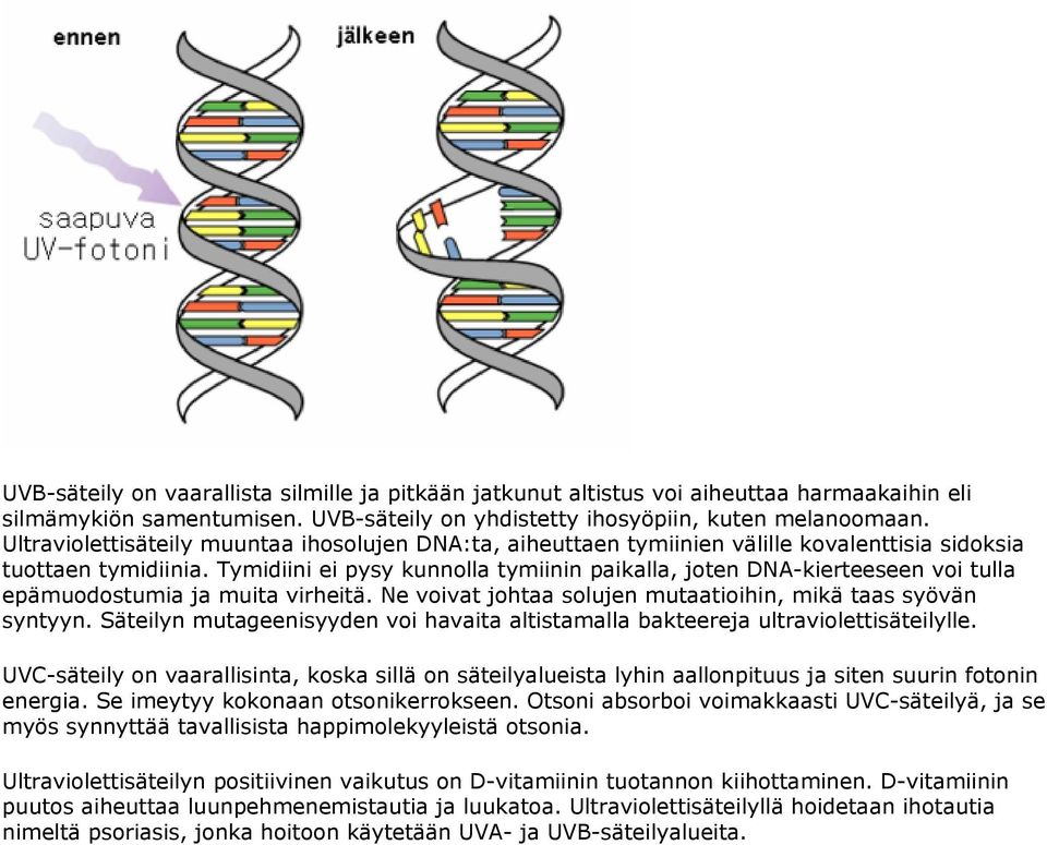 Tymidiini ei pysy kunnolla tymiinin paikalla, joten DNA-kierteeseen voi tulla epämuodostumia ja muita virheitä. Ne voivat johtaa solujen mutaatioihin, mikä taas syövän syntyyn.