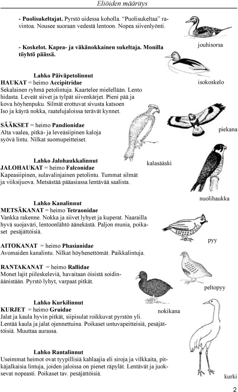 Silmät erottuvat sivusta katsoen. Iso ja käyrä nokka, raatelujaloissa terävät kynnet. SÄÄKSET = heimo Pandionidae Alta vaalea, pitkä- ja leveäsiipinen kaloja syövä lintu. Nilkat suomupeitteiset.