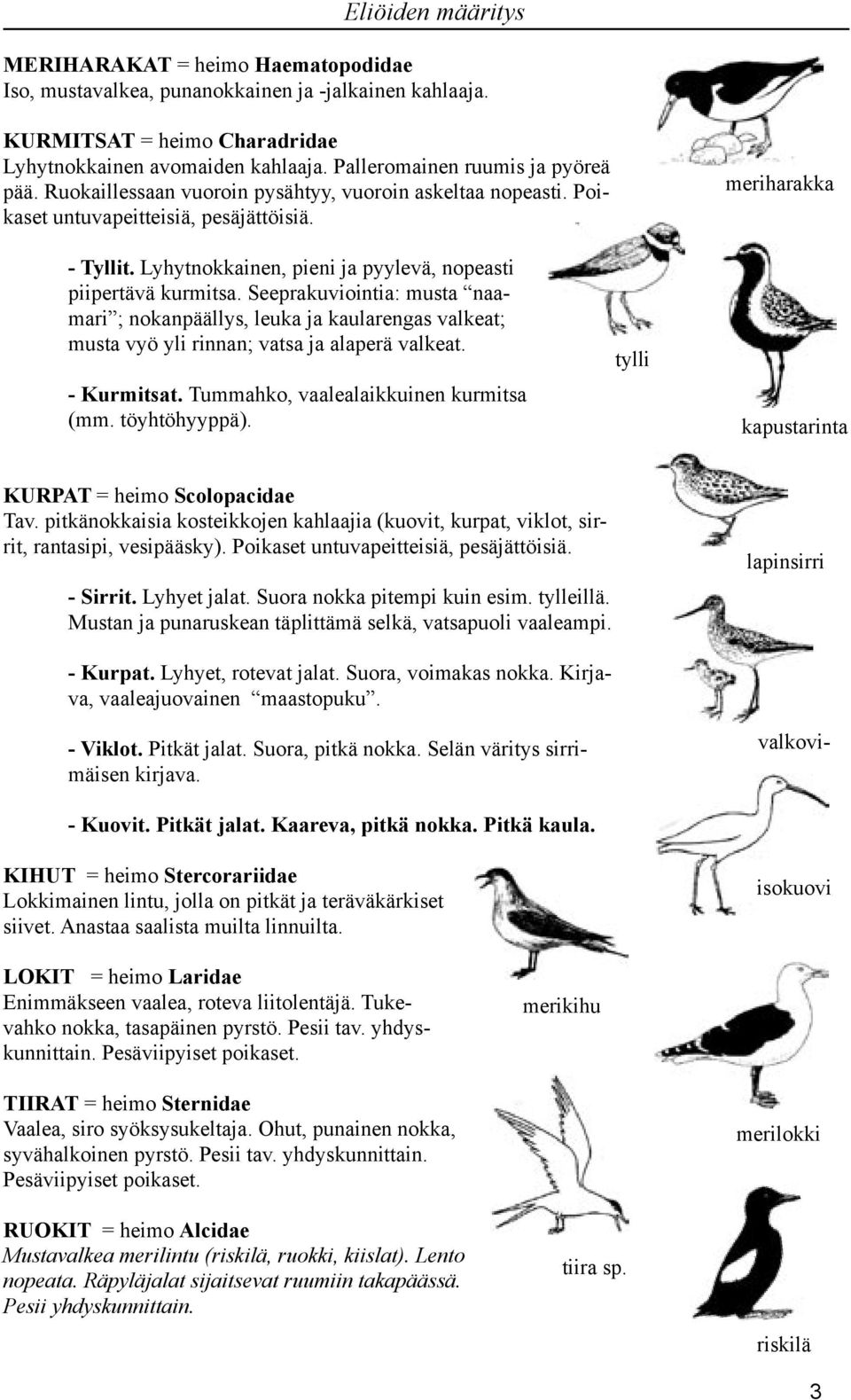 Seeprakuviointia: musta naamari ; nokanpäällys, leuka ja kaularengas valkeat; musta vyö yli rinnan; vatsa ja alaperä valkeat. - Kurmitsat. Tummahko, vaalealaikkuinen kurmitsa (mm. töyhtöhyyppä).