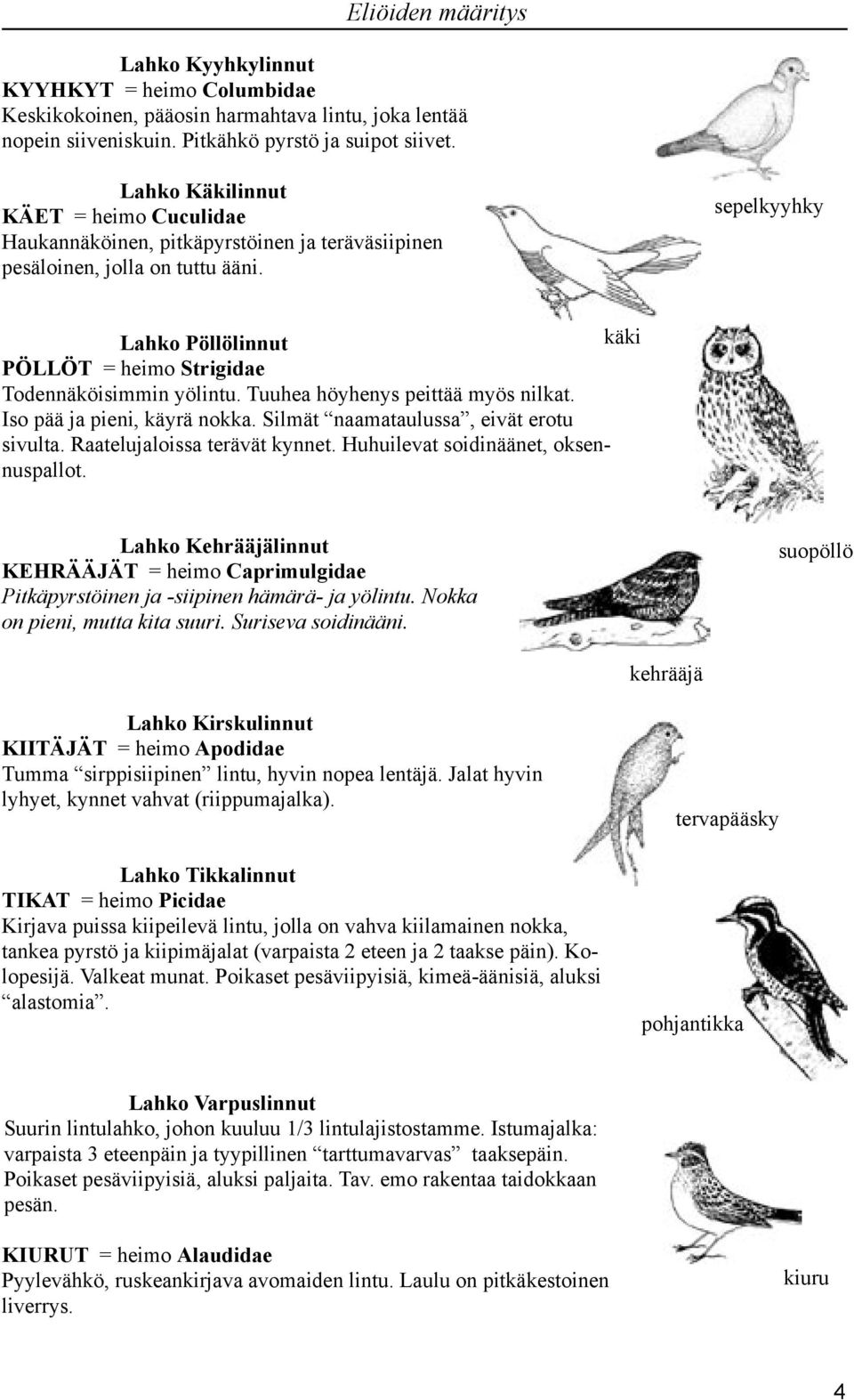 sepelkyyhky Lahko Pöllölinnut käki PÖLLÖT = heimo Strigidae Todennäköisimmin yölintu. Tuuhea höyhenys peittää myös nilkat. Iso pää ja pieni, käyrä nokka. Silmät naamataulussa, eivät erotu sivulta.