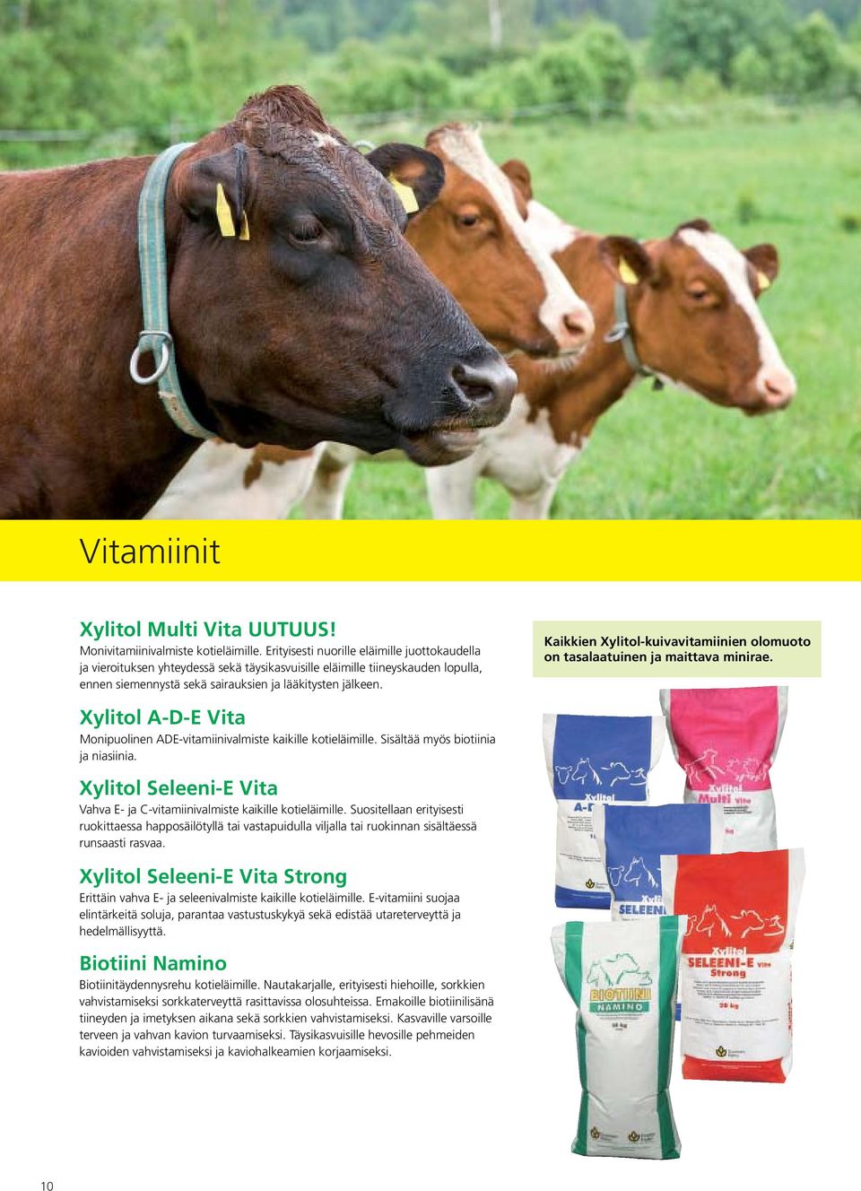 Kaikkien Xylitol-kuivavitamiinien olomuoto on tasalaatuinen ja maittava minirae. Xylitol A-D-E Vita Monipuolinen ADE-vitamiinivalmiste kaikille kotieläimille. Sisältää myös biotiinia ja niasiinia.