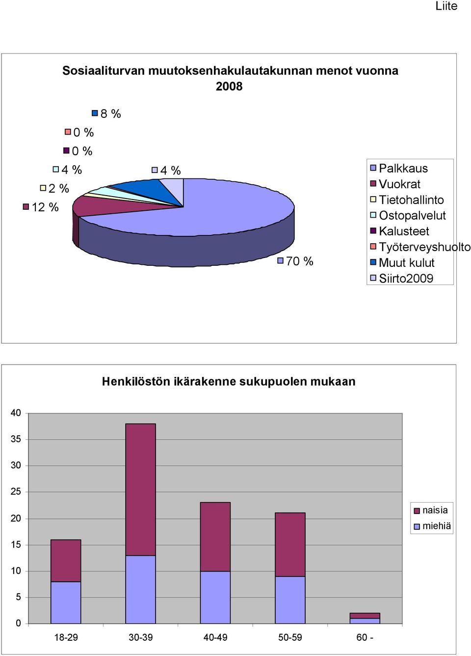 Työterveyshuolto 70 % Muut kulut Siirto2009 Henkilöstön ikärakenne