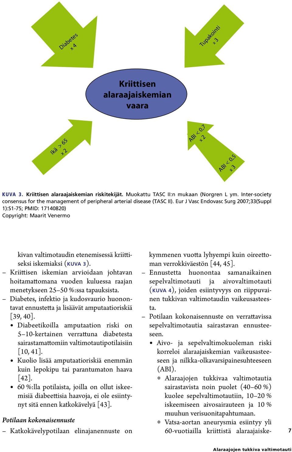 Eur J Vasc Endovasc Surg 2007;33(Suppl 1):S1-75; PMID: 17140820) Copyright: Maarit Venermo kivan valtimotaudin etenemisessä kriittiseksi iskemiaksi (kuva 3).