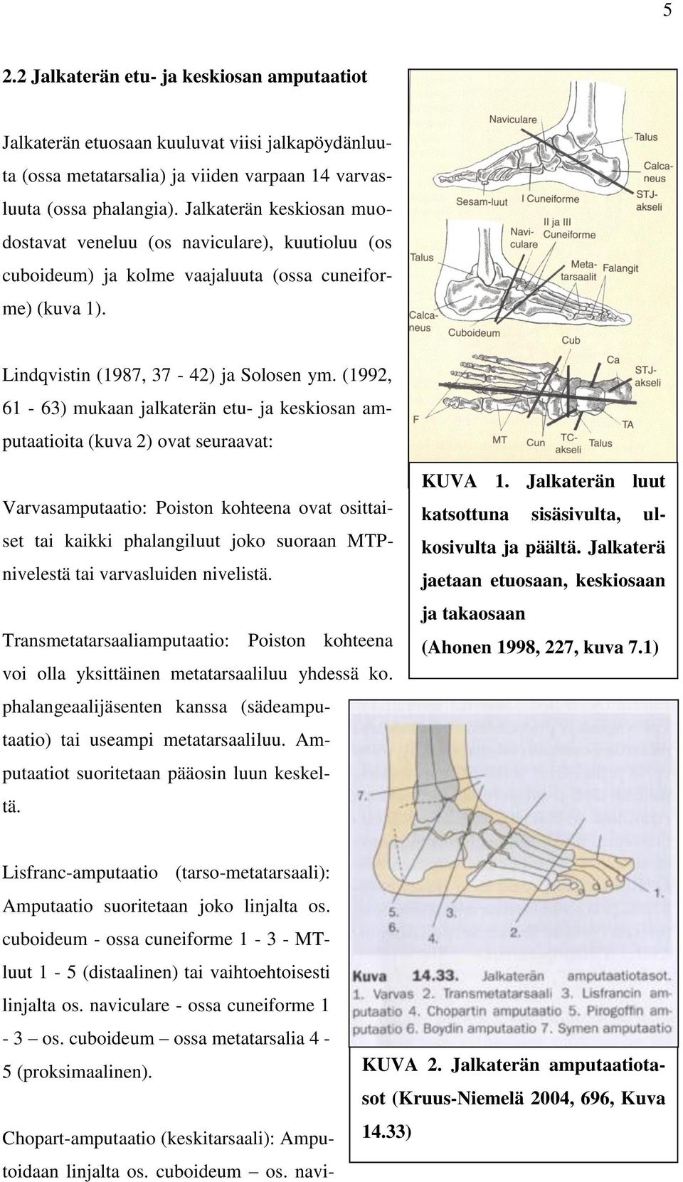 (1992, 61-63) mukaan jalkaterän etu- ja keskiosan amputaatioita (kuva 2) ovat seuraavat: Varvasamputaatio: Poiston kohteena ovat osittaiset tai kaikki phalangiluut joko suoraan MTPnivelestä tai