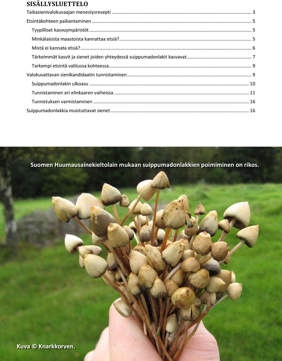 .. 7 Tarkempi etsintä valitussa kohteessa... 9 Valokuvattavan sienikandidaatin tunnistaminen... 9 Suippumadonlakin ulkoasu.