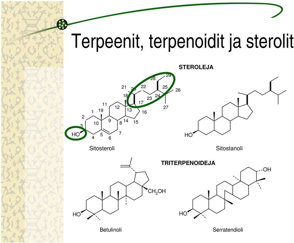 16 8 14 15 25 27 26 4 5 6 7 Sitosteroli