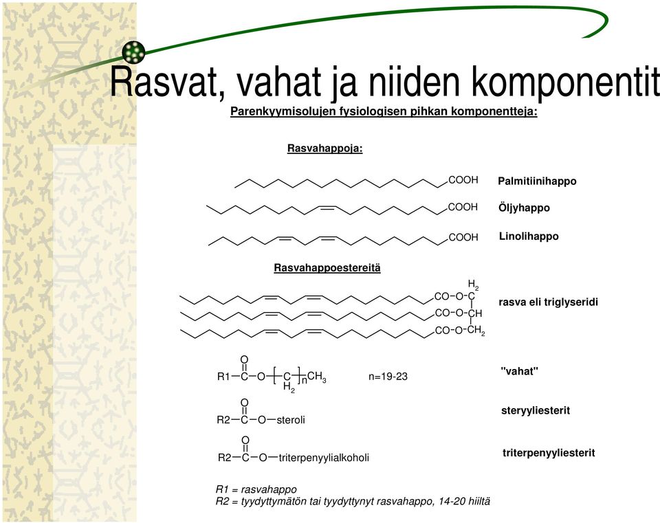 triglyseridi C C 2 R1 C C n C 3 2 n=19-23 "vahat" R2 C steroli steryyliesterit R2 C