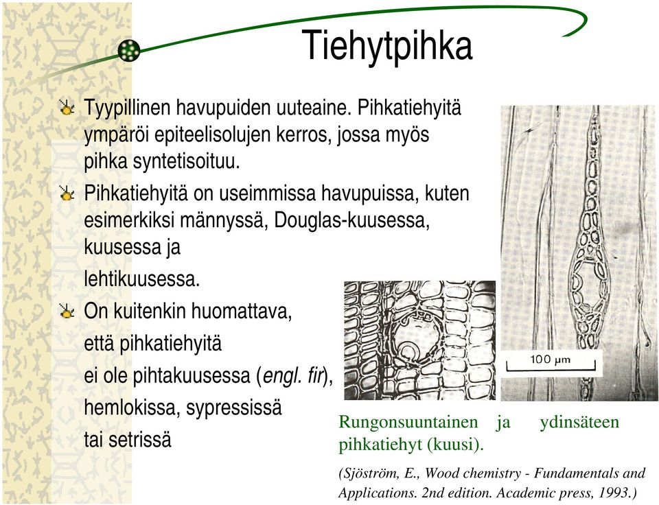n kuitenkin huomattava, että pihkatiehyitä ei ole pihtakuusessa (engl.
