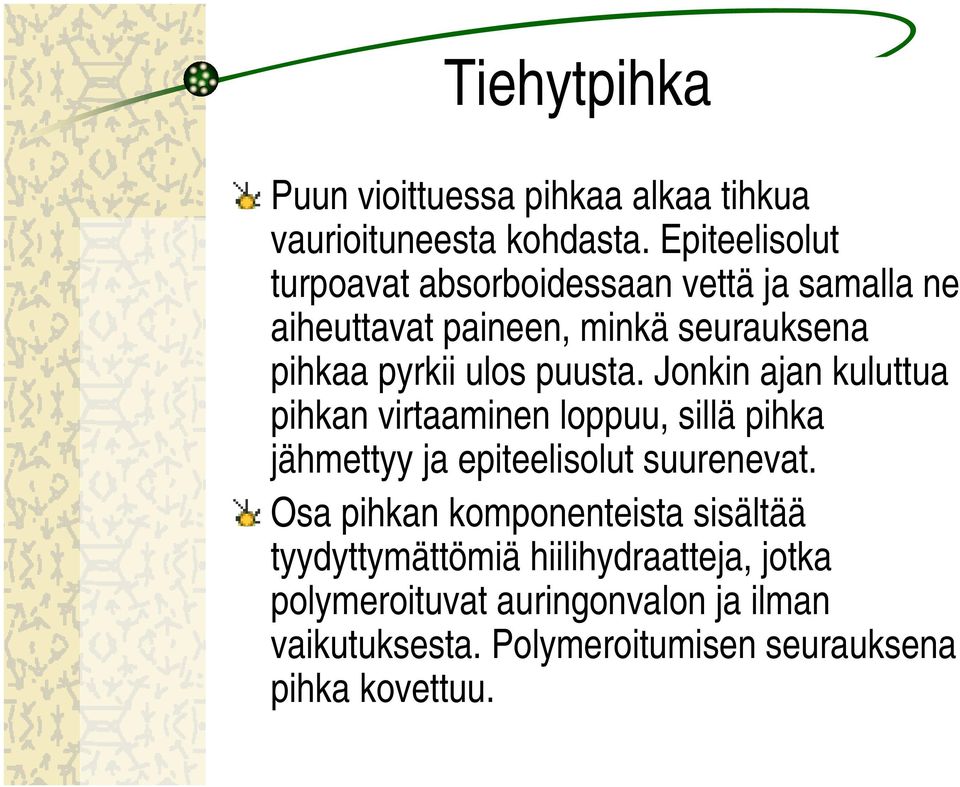 puusta. Jonkin ajan kuluttua pihkan virtaaminen loppuu, sillä pihka jähmettyy ja epiteelisolut suurenevat.
